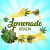 Lemonade Regular Seeds