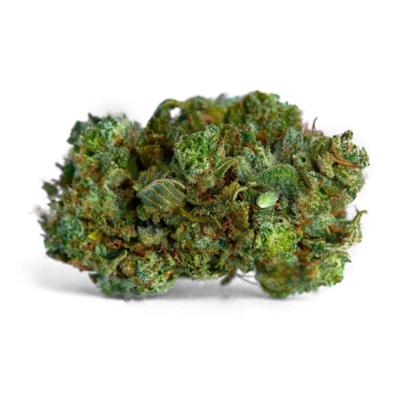 Big Bud Regular Seeds - Image 2