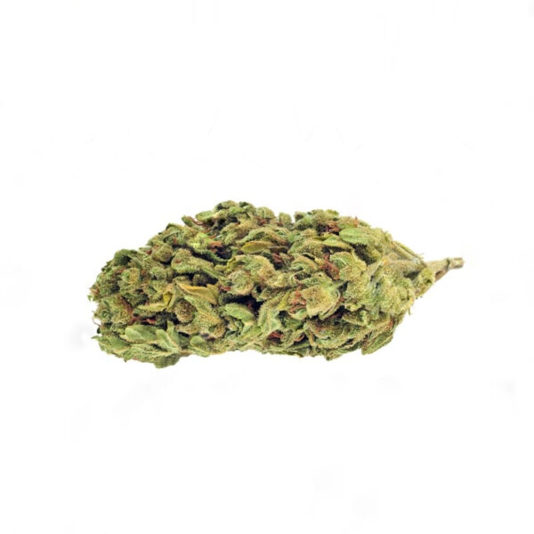 AMS XTRM ® Feminized Seeds - Image 2