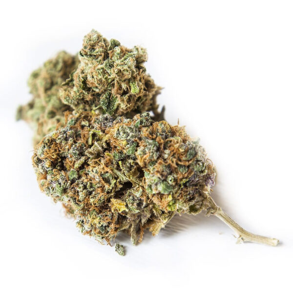 Capa Harley CBD Feminized Seeds - Image 2