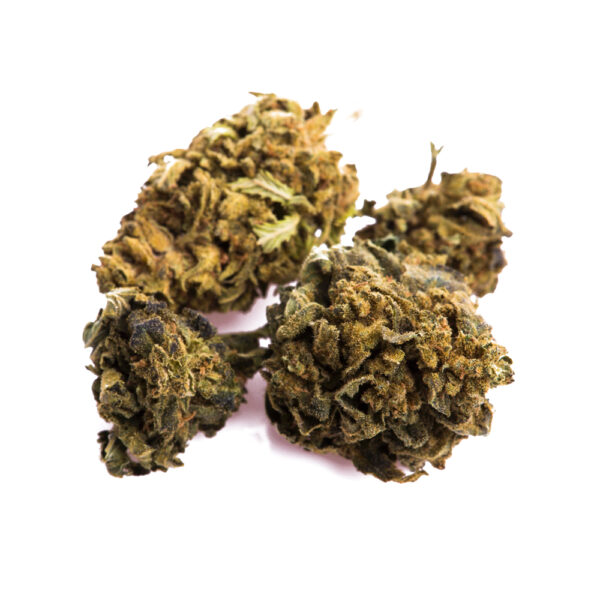 Peanut Butter Breath Feminized Seeds - Image 2