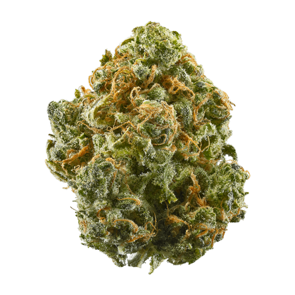 Blue Dream XTRM ® Feminized Seeds - Image 8