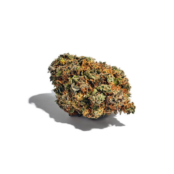 Lava Cake Feminized Seeds - Image 2