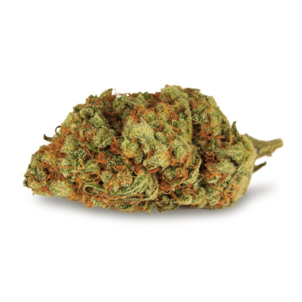 Black Domina Feminized Seeds - Image 4