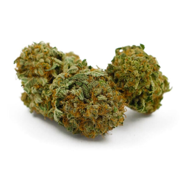 Narco Feminized Seeds - Image 2