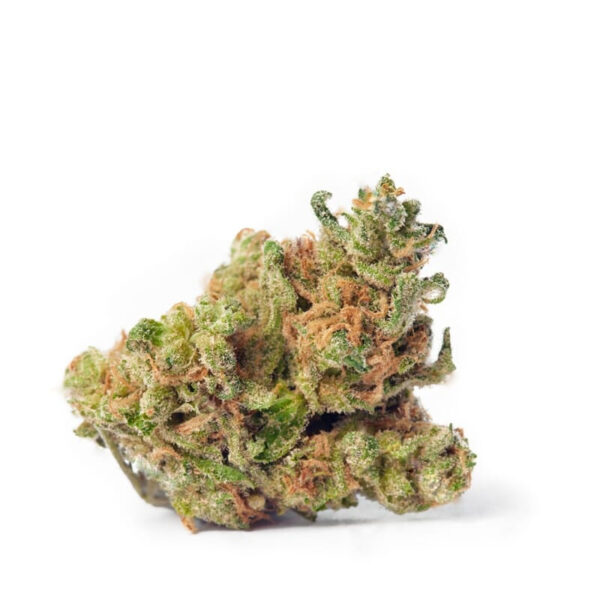Blue Dream XTRM ® Feminized Seeds - Image 2