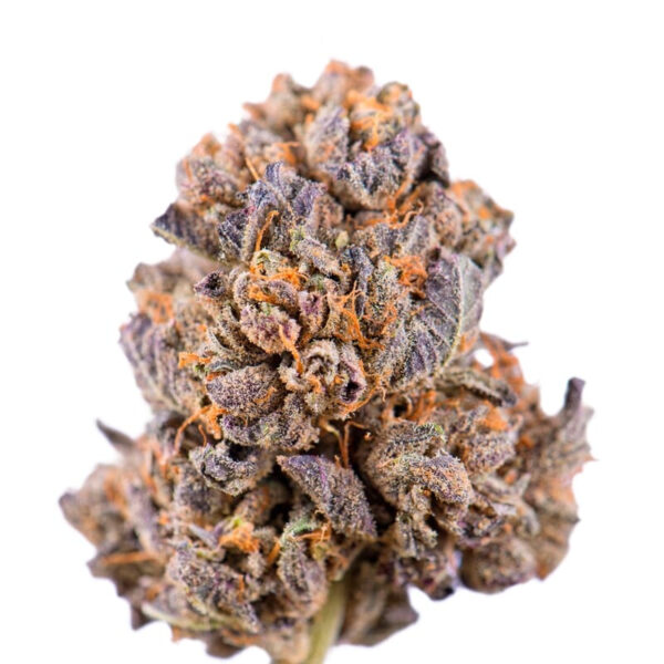 Caramelicious ® Feminized Seeds - Image 2