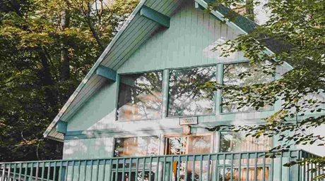 How To Grow Weed At Home