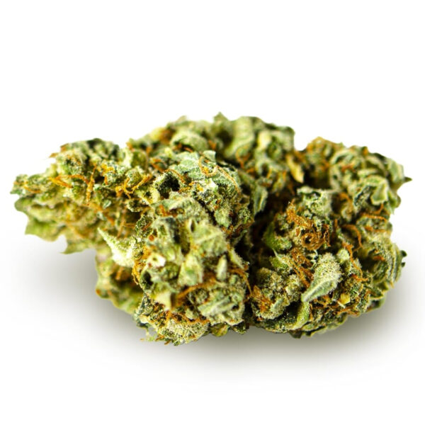 Krank ® Feminized Seeds - Image 3