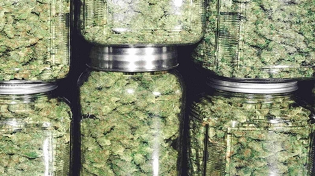 Odor-Proof Cannabis Storage